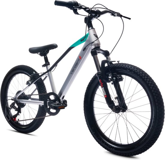 Verdant Kinderfiets voor jongens van 6 tot 10 jaar, 20 inch, 6 versnellingen, Shimano kinderfiets, verstelbare hoogte (Zilver) van Verdant
