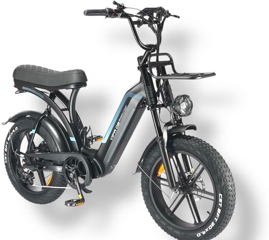 VIFA Q8 E-Fatbike I 48V 20Ah Accu Krachtige 250W Motor Dubbele Vering en Hydraulische Remmen