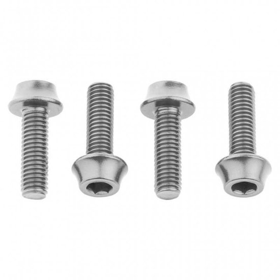 Wolf Tooth M5 X 15 Mm Bidonhouder Schroeven 4 Eenheden Zilver